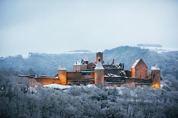 photo of gray concrete castle surrounded by trees
