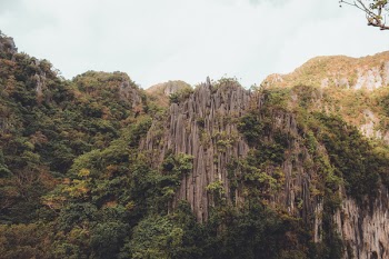 Photo of Gray Rock Formation With Trees at Daytime