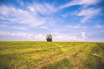 photo of green grass field