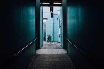photo of green painted wall