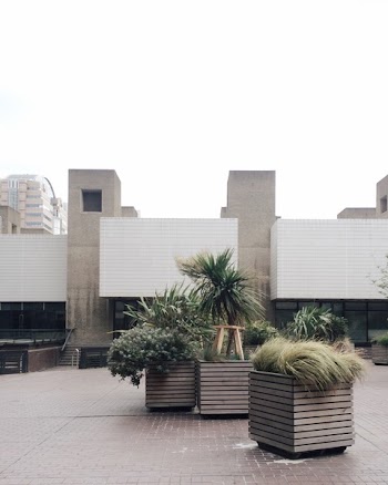 Photo of Green Plant Boxes
