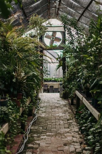 photo of greenhouse interior