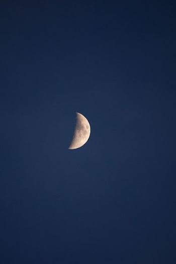 photo of half moon