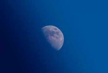 photo of half-moon