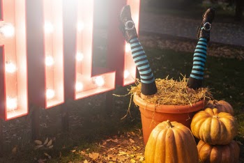 Photo of Halloween Decorations