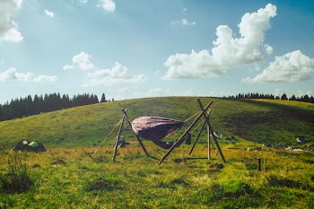 Photo Of Hammock 