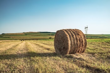 Photo of Hay Bale on Grass Field