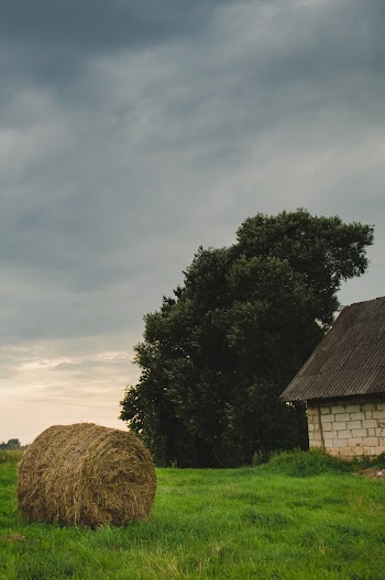 Photo of Hay on Grass Field