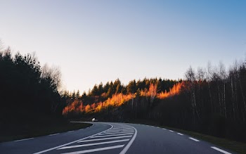 Photo of Highway Near Trees