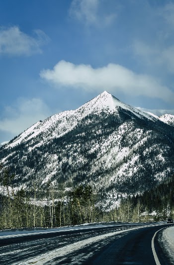 Photo of Highway Near Trees and Mountain