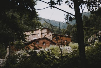 Photo Of House In Forest During Daytime