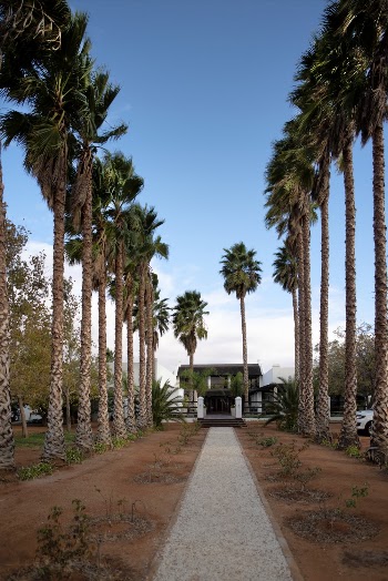 Photo of House Near Palm Trees