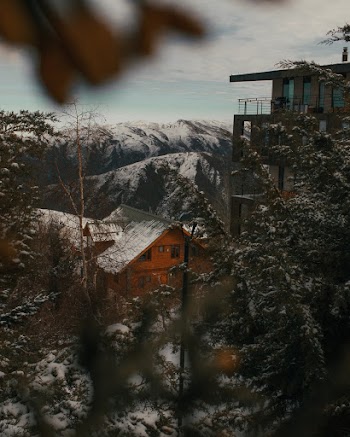 Photo Of House Near Trees