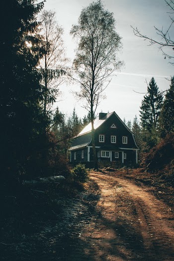 Photo of House Surrounded by Trees