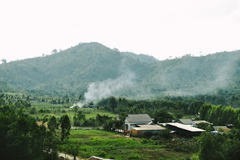 Photo of Houses Near Trees