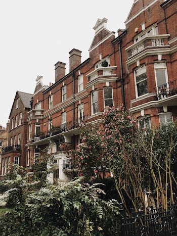 Photo of Houses Surrounded by Trees