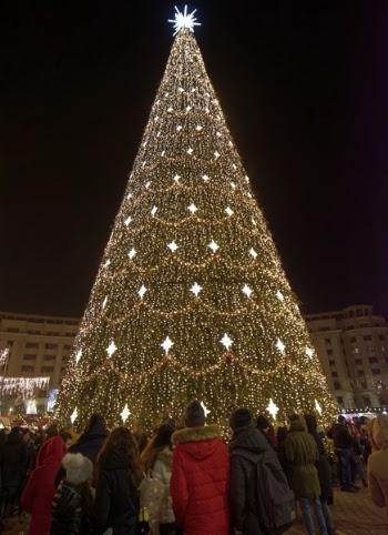 Photo of Huge Christmas Tree