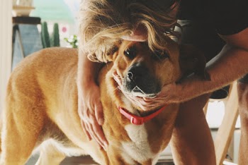Photo Of Hugged By Person