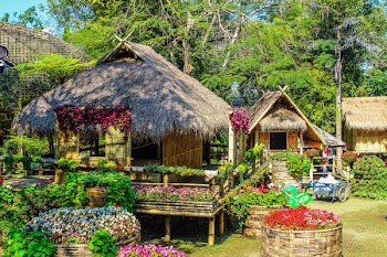 Photo of Huts Surrounded by Flowers