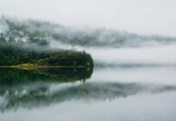 Photo of Island Covered With Mists