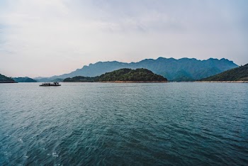 Photo of Island Covered With Trees