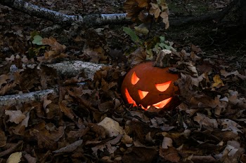 Photo of Jack-o'-lantern Covered With Dry Leaves