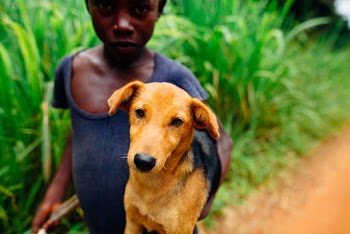 Photo of Kid Carrying Brown Dog