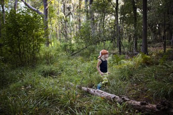 Photo of Kid Walking in a Forest