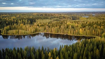 Photo of Lake Between Trees