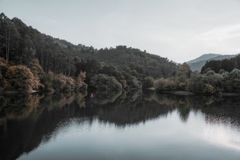 Photo Of Lake During Daytime