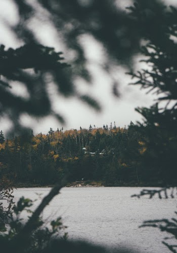 Photo Of Lake During Daytime