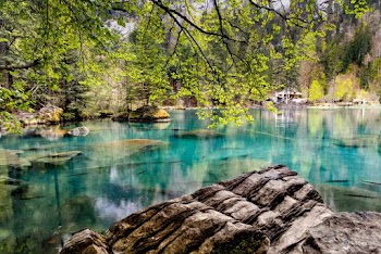 Photo of Lake During Daytime