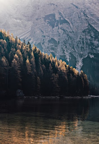 Photo of Lake Near Forest