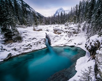 Photo of Lake Near Pine Trees