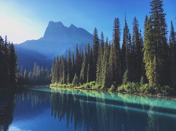Photo of Lake Near Tall Trees