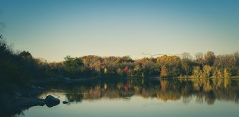 Photo of Lake Near Trees