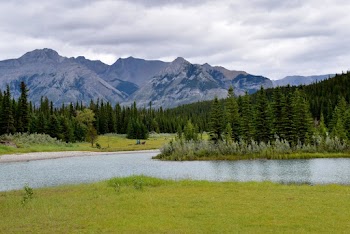 Photo of Lake Near Trees and Grass