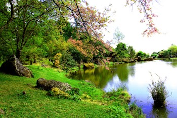 Photo Of Lake Side