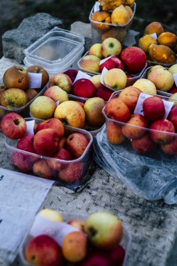 Photo of Lot of Apples for Sale