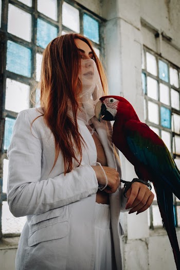Photo of Macaw Perched on Woman's Hand