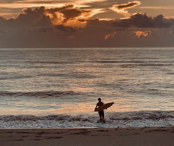 Photo of Man Carrying Surfboard on Seashore During Golden Hour