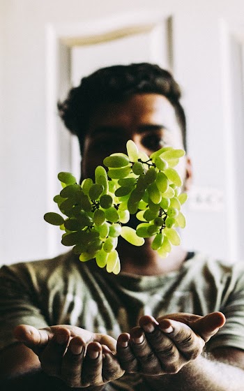 Photo of Man Catching Green Grapes