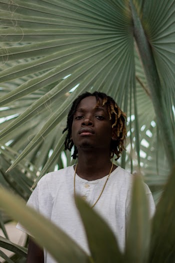 Photo of Man in in White Half-button T-shirt Posing Under  Fan Palm Tree