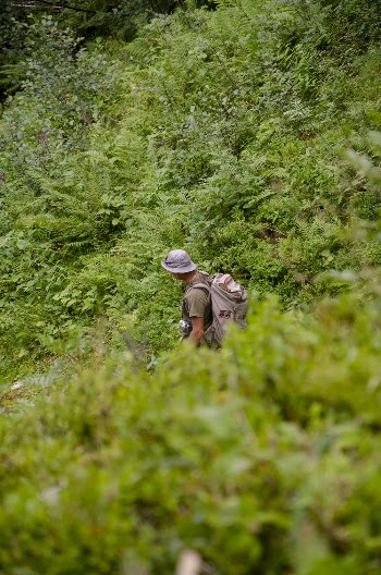 Photo Of Man Near Plants