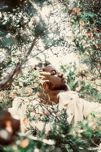 Photo Of Man Near Plants