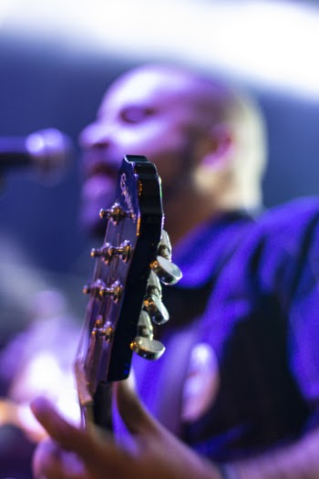 Photo of Man Plying Guitar