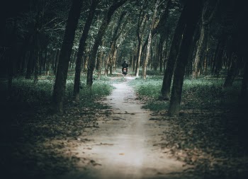 Photo of Man Riding Motorcycle in the Forest