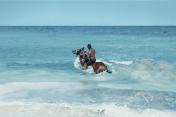 Photo of Man Riding on Brown Horse on Ocean Water