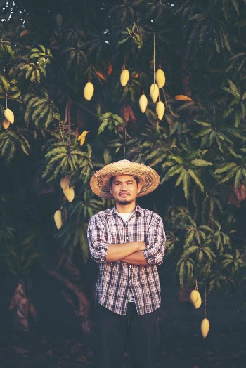 Photo of Man Standing In Front of Mango Tree with His Arms Crossed