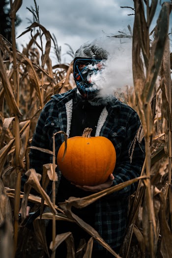 Photo Of Man Standing Near Corn Plants